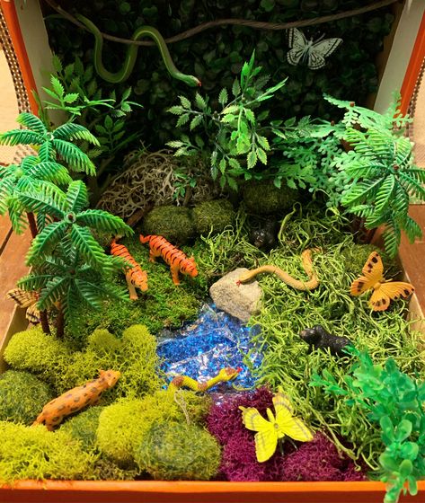 School Diarama Ideas, Shoe Box Diorama Forest, Jungle Habitat Project, Jaguar Diorama, Animal Habitat Diorama, Jungle Diorama, Animal Diorama, Jungle Animals Preschool, Rainforest Amazon