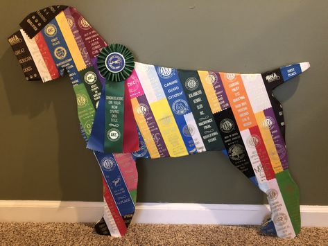 Show ribbon dog Ribbon Wreath Ideas, Ribbon Display Ideas, Award Ribbon Display, Summer Swim Team, Show Ribbon Display, Dog Ribbon, Horse Show Ribbons, Horse Ribbons, 4h Ideas