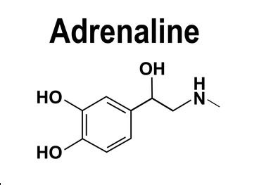 Adrenaline Chemical Structure, Adrenaline Drawing, Chemical Structure Tattoo, Adrenaline Tattoo, Medicine Tattoo, Chemical Tattoo, Techno Tattoo, Chemistry Tattoo, Molecule Tattoo