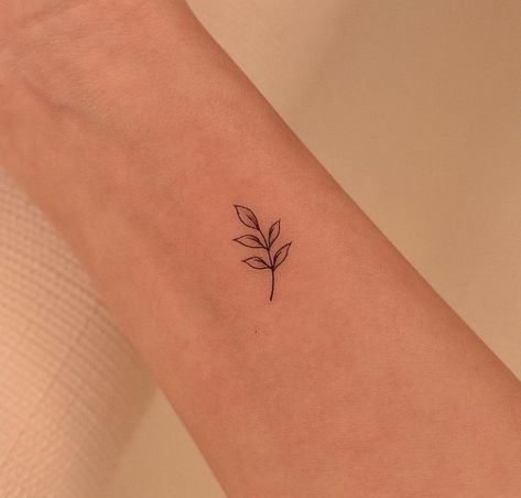 Bay Leaf Tattoo, Laurel Plant, Leaf Tattoo, Bay Laurel, Plant Tattoo, Bay Leaf, Leaf Tattoos, Maple Leaf Tattoo, I Tattoo