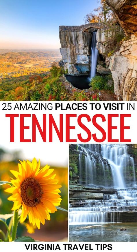 National Parks In Tennessee, National Parks Tennessee, What To Do In Tennessee, Best Places To Visit In Tennessee, Tennessee Bucket List, Places To Visit In Tennessee, Tennessee Nature, Tennessee Family Vacation, Tennessee Attractions