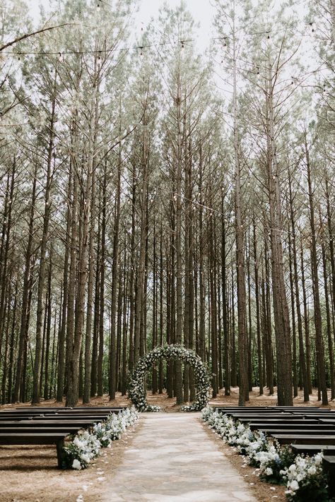 Wedding Ceremony Pine Trees, Pine Colored Wedding, Forest Wedding Tennessee, Wedding Pine Trees, Folklore Wedding Theme, Boho Wedding Venues Outside, Wedding In The Pines, Forest Wedding North Carolina, Pine Tree Wedding Ceremony