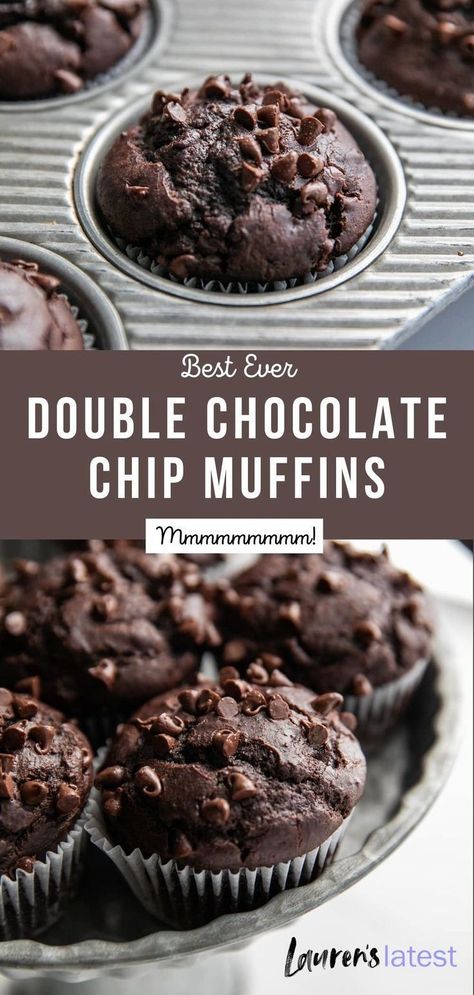 Choclate Chip Muffins, Double Chocolate Chip Muffin Recipe, Choc Chip Muffins Recipe, Homemade Chocolate Muffins, Double Chocolate Muffin Recipe, Choc Muffins, Best Chocolate Chip Muffins, Chocolate Chip Muffins Easy, Choc Chip Muffins