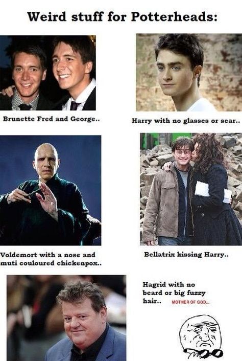 Collection of Harry Potter memes Harry Potter Humor, Citate Harry Potter, Glume Harry Potter, Harry Porter, Funny Harry Potter Jokes, Harry Potter Memes Hilarious, Harry Potter Puns, Images Harry Potter, Potter Facts