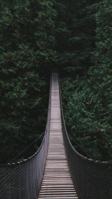 Suspension Bridge, Iphone Wallpapers, Mobile Phone, Bridge, Walking, Trees, Forest, Wallpapers, Iphone