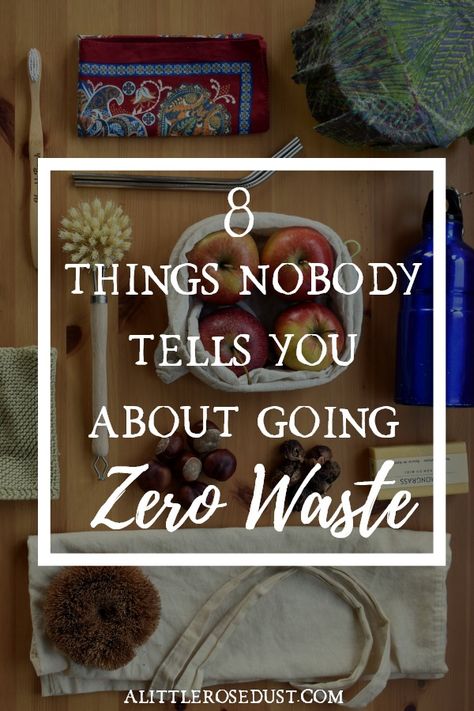 Zero Waste Lunch, Toxin Free Living, Zero Waste Swaps, Coconut Bowls, Decluttering Ideas, Waste Reduction, Green Ideas, Plastic Free Living, Simple Lifestyle