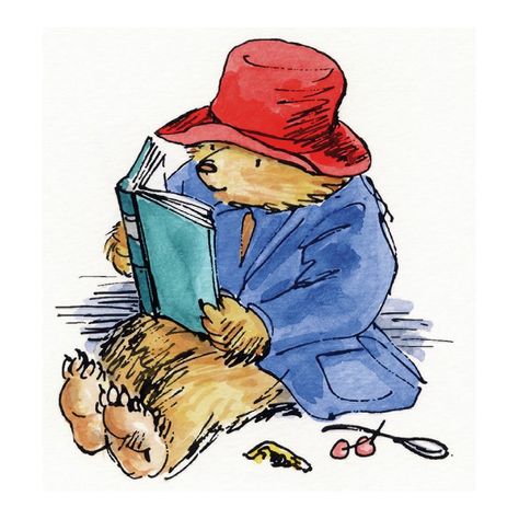 'Reading Is Fun' Watercolor Painting Cartoon Drawings Animals, Oso Paddington, Lab Decorations, Paddington Station, Oliver Jeffers, Dog Bear, Witch Board, Oddly Specific, Paddington Bear