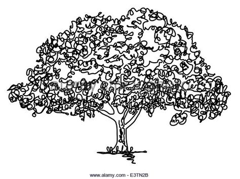 Continuous line drawing of an oak tree - Stock Image Tree Line Drawing, Line Drawing Illustration, Kids Carnival, Continuous Line Drawing, Tree Images, Vector Portrait, Tree Line, Continuous Line, Hand Drawn Vector