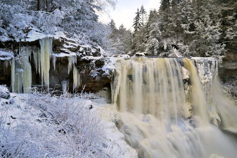 Welcome to West Virginia State Parks West Virginia State Parks, Virginia State, Idea Board, Plan Your Trip, West Virginia, Trip Planning, State Parks, Virginia, This Is Us