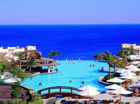 This fabulous spacious and sporty property has plenty of activities for guests of all ages. This hotel complex is perfect for families and c... Sharm El Sheikh Egypt, شرم الشيخ, Marsa Alam, Egypt Tours, Visit Egypt, Sharm El Sheikh, Romantic Vacations, Countries To Visit, Egypt Travel