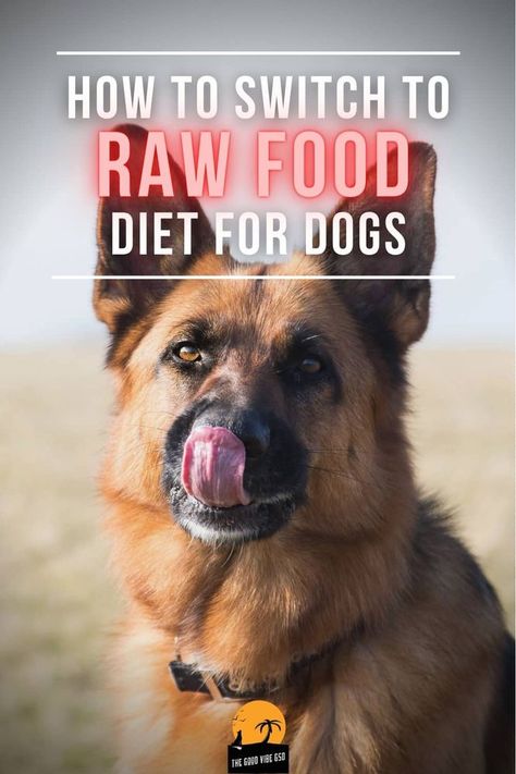 The B.A.R.F. diet consists of feeding the dogs raw and biologically suitable foods for them. B.A.R.F. is the acronym for Biologically Appropriate Raw Food. This proposes a diet based on animal protein, to which a small percentage of fruits and vegetables is added. #raw #rawfed #rawfeddogs #rawfeeding #diydogfood #cleaneating #caninenutrition #feedfresh #feedreal #whatsinyourbowl #wefeedraw Raw Meat Dog Diet, Raw Food Diet For Dogs, Dog Diet Plan, Diet For Dogs, Pet Nutrition, Grain Free Dog Food, Dog Breath, Food Homemade, Dog Health Tips