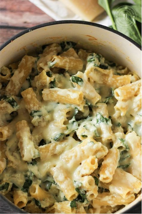 Ricotta Cheese Recipes Pasta, Spinach Ricotta Pasta, Ricotta Cheese Recipes, Cheese Pasta Recipes, Ricotta Recipes, Spinach Ricotta, Ricotta Pasta, Recipes Pasta, Rigatoni