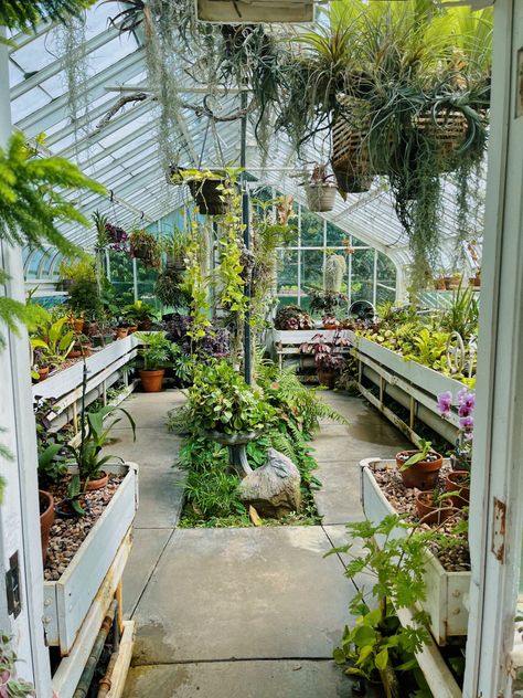 Triangle Greenhouse, Garden Decor Ideas Diy, Greenhouse Build, Box Park, Tropical Greenhouses, Atrium Design, Conservatory Greenhouse, Greenhouse Garden, Fountain Design