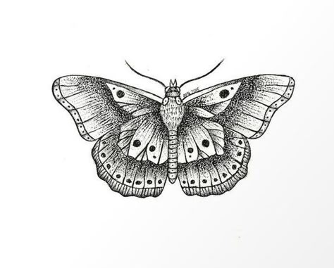 Harry Styles Butterfly, Harry Styles, Moth, Throw Pillow, Black And White, White, Black