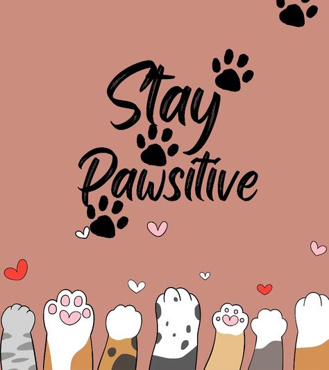 Keep pawsitive Pawsitive Vibes, Stay Pawsitive, Painted Rocks, Cute Pictures, Cute Animals, Coffee, Animals, Quick Saves