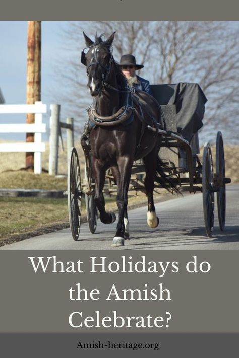 Amish Holidays Amish Traditions, Amish Village, Rumspringa, Amish Clothing, Antique Pie Safe, Amish Men, Amish Books, Fashion Education, Ascension Day