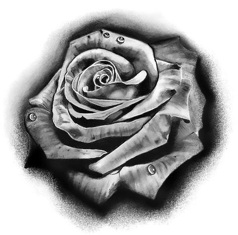 Black and Gray Rose Tattoo Design Rose With Water Drops Tattoo, Roses Sleeve, Stencil Tattoos, Roses Tattoo Design, Black And Grey Rose Tattoo, Tattoo Stencil Designs, Ako Kresliť, Rose Tattoo Stencil, Realistic Rose Tattoo