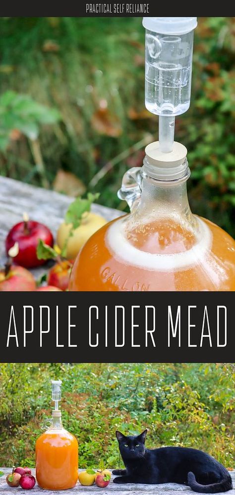 Explore the fusion of apple cider and honey with our apple cider mead guide. As a part of our homemade drinks series, this recipe ensures that you relish every sip of this delightful beverage. Learn how to make it perfect with fresh apple cider. Find more Alcoholic Drinks Recipes, Healthy Fall Recipes, and Historical Food Preservation at practicalselfreliance.com. Easy Apple Cider Recipe, Hard Apple Cider Recipe, Apple Cider Recipes, Hard Cider Recipe, Making Hard Cider, Cider Recipes, Historical Food, Making Apple Cider, Fermented Drinks