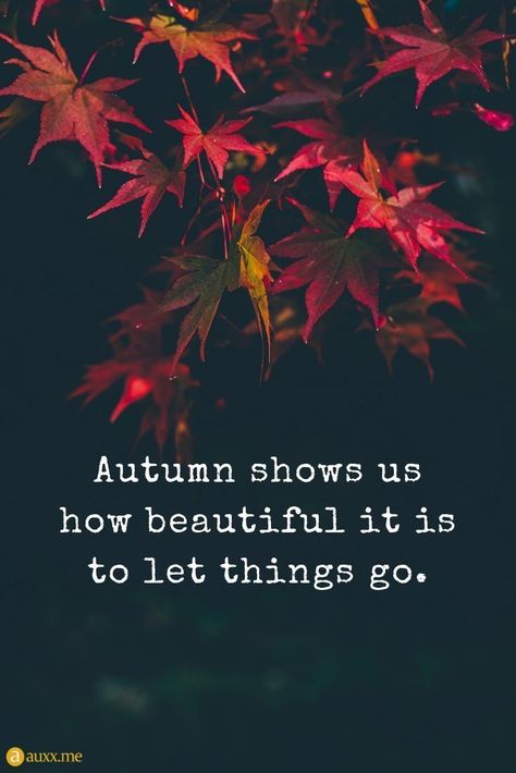 Yellow Fall Aesthetic, Fall Aesthetic Quotes, Let Things Go, November Quotes, Season Quotes, Welcome Autumn, Vibe Quote, Autumn Quotes, Aesthetic Quotes