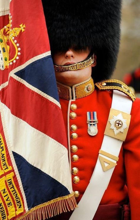 British Guard, Coldstream Guards, Royal Guards, Man In Uniform, British Army Uniform, British Uniforms, British Gentleman, Rule Britannia, British Armed Forces