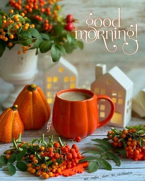 Good Morning To All, Good Afternoon Quotes, Good Morning Thursday, Good Morning Coffee Images, Good Morning Funny Pictures, Morning Coffee Images, Good Morning Wallpaper, Slaap Lekker, Good Morning All