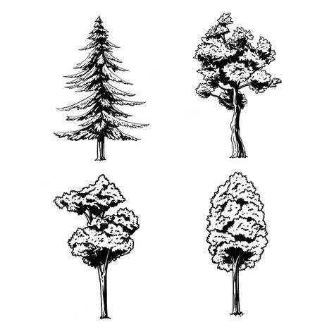 Free Vector | Hand drawn trees outline illustration Trees Outline, Tree Outline, Outline Illustration, Vector Hand, Etching, Graphic Resources, Line Art, Hand Drawn, Vector Free