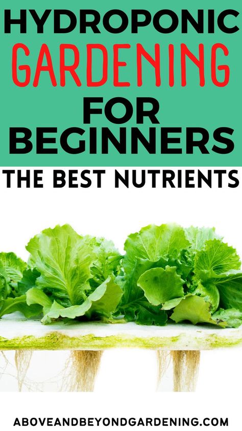 Hydroponic gardening for beginners at home. Hydroponic gardening for beginners ideas to get the best nutrients. Hydroponic Gardening For Beginners, Hydroponic Nutrients, Indoor Hydroponic Gardening, Hydroponic Gardening System, Hydroponic Farming, Hydroponics Diy, Aquaponic Gardening, Gardening Diy, Gardening Hacks