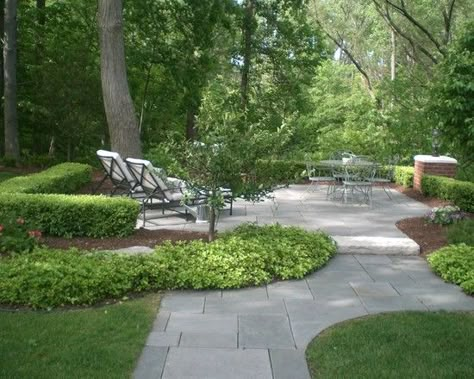 Easy Landscaping, Traditional Landscape, Patio Landscaping, Landscaping Tips, Patio Stones, Exeter, Back Patio, Ground Cover, Outdoor Rooms