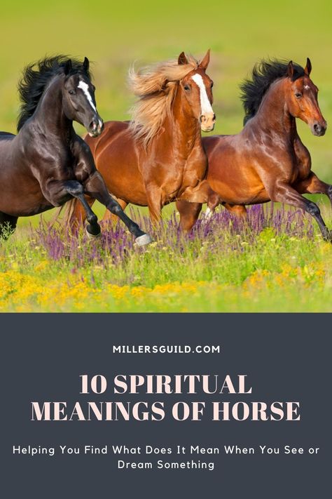 10 Spiritual Meanings of Horse Horse Spirit Animal Meaning, Horse Spiritual Meaning, Horse Symbolism, Horse Spirit Animal, Brown And White Horse, Horse Spirit, Spirit Animal Meaning, Animal Meanings, Four Horses