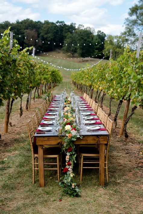 Wedding Vineyard Ideas, Wedding In Vineyard, Vineyard Engagement Party, Winery Ideas Vineyard, Winery Event Ideas, Home Vineyard, Wine Yard Wedding, Wedding In Winery Vineyard, Mini Vineyard