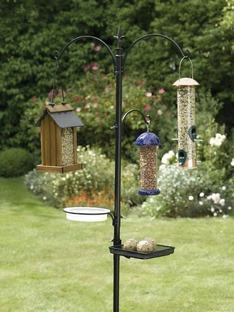 A Quick Guide to Feeding Birds & My Favorite Feeders Bird Feeder Station, Backyard Birds Feeders, Best Bird Feeders, Bird Feeder Poles, Bird Feeding Station, Garden Poles, Wild Bird Feeders, Bird Feeding, Hanging Bird Feeders