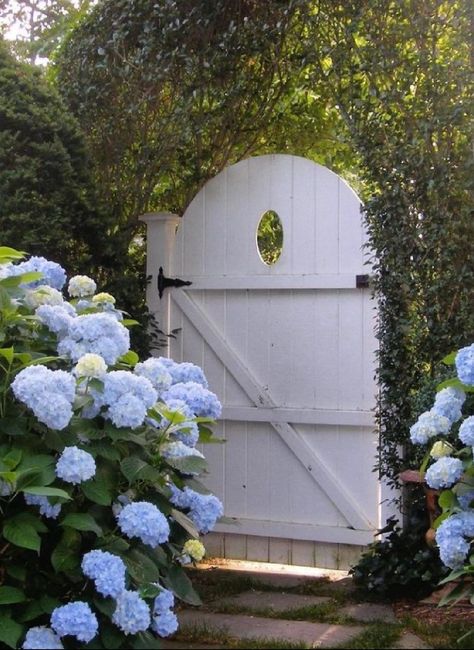 Hamptons Style Garden, Decorating With Blue, Snowball Viburnum, Grandeur Of The Seas, Coastal Exterior, Modern Gate, Blue Ceilings, Provence Lavender, Coastal Interiors Design