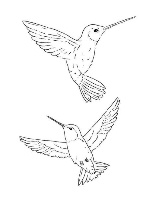 Hummingbird Outline Drawings, Bird Line Art Illustration, Sister Hummingbird Tattoo, Hummingbird Linework Tattoo, Humming Bird Outline Drawing, Simple Hummingbird Tattoos, Humming Bird Drawing Simple, Humming Bird Line Drawing, Linework Hummingbird Tattoo