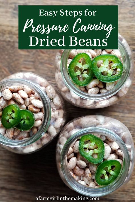 Easy Pressure Canning Recipes, What To Pressure Can, Broccoli Canning Recipes, Pressure Canner Recipes Meals, Canning Great Northern Beans, Preserving Beans, Canning Dried Beans, Canning Pantry, Canning Meals