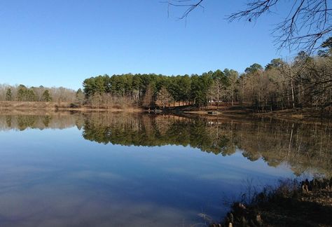 Mississippi Vacation, Natchez Trace, Civilian Conservation Corps, Up North, Outdoor Lover, Nature Adventure, Cultural Experience, Camping Experience, Water Activities