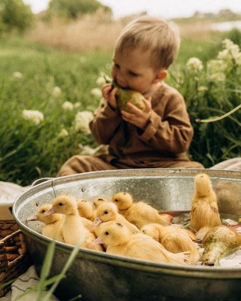 Baby Chicks Photography, Duck Photography, Easter Photoshoot, Duck Pictures, Duck Photo, Picnic Inspiration, Beach Pictures Friends, Outdoor Pictures, Anniversary Photoshoot