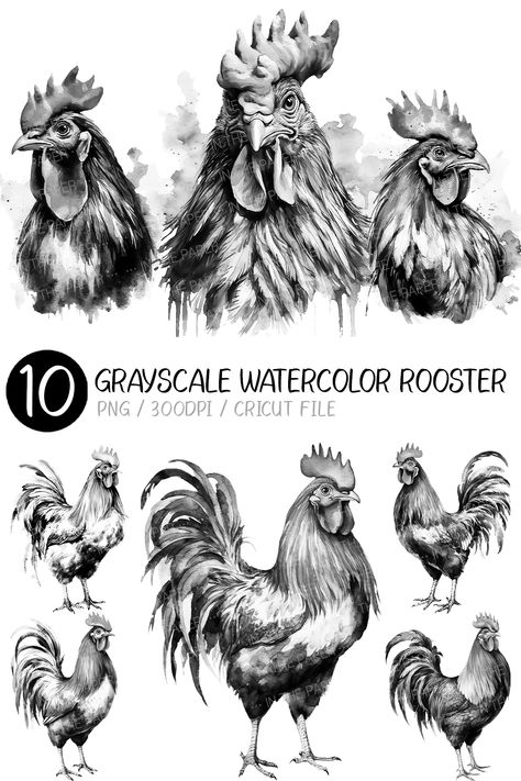 Watercolor Rooster Paintings, Hen Watercolor, Rooster Sketch, Rooster Clipart, Chicken Watercolor, Bird Sketches, Chicken Clip Art, Watercolor Chicken, Subtle Aesthetic