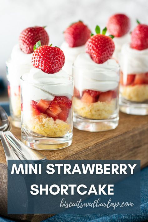 Strawberry Shortcake is such a classic dessert that is already pretty light, but this miniature version is so cute and perfect for a party! It only takes a few minutes to throw together and your guests will absolutely be impressed. Strawberry Shortcake Recipe Biscuits, Individual Strawberry Shortcake, Strawberry Shortcake Mini, Mini Strawberry Shortcake, Strawberry Shortcake Bars, Strawberry Shortcake Dessert, Mini Carrot Cake, Strawberry Shortcake Recipe, Goat Cheese Appetizer