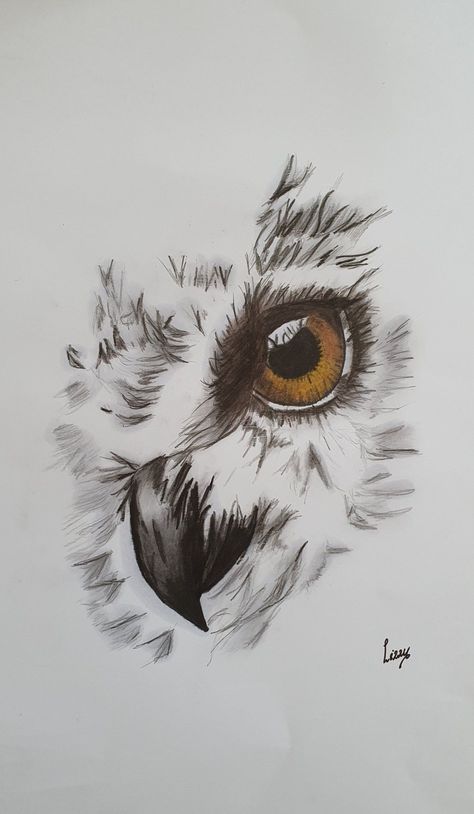 #OwlTattoo #CuteOwlTattoo #OwlInk #OwlTattooDesign #OwlTattooArt #InkedOwls #OwlTattooIdeas #OwlTattooLove #TattooInspiration #AnimalTattoos Owl Tatoos, Cryptic Tattoos, Owl Eye Tattoo, Snow Owls, Owl Tattoo Drawings, Cute Owl Tattoo, Owl Sketch, Painted Handbag, Animal Tattoo Ideas