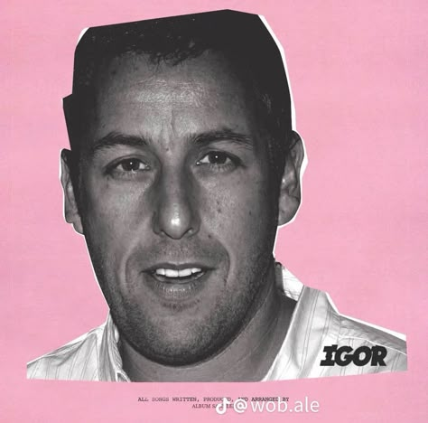 Adam Sandler Core, Tyler The Creator Wallpaper, Rap Aesthetic, Adam Sandler, Music Mood, The Perfect Guy, Spotify Covers, August 27, Very Funny Pictures