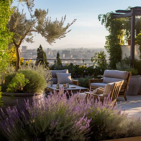 Apartment Rooftop Terrace, Plants For Rooftop Roof Terraces, Large Rooftop Terrace, Roof Terrace Planting Ideas, Hotel Rooftop Garden, Lush Rooftop Garden, Rooftop Garden Urban, Mediterranean Terrace, Rooftop Patio Design