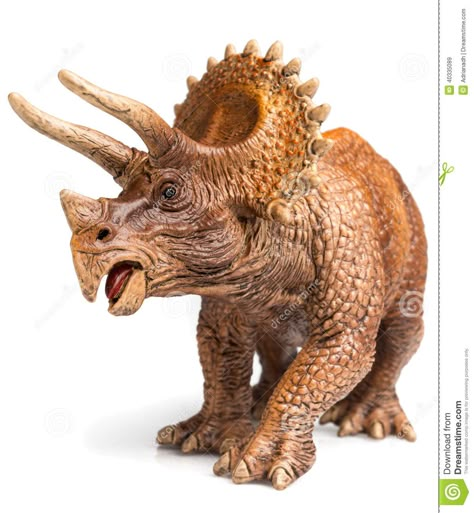 Triceratops stock image. Image of fossil, ferocious, extinct - 40335089 Dinosaur Jewelry, Jurassic Park 1993, Dinosaur Photo, Dinosaur Tattoos, Hulk Art, Indominus Rex, Dinosaur Posters, Dinosaur Wallpaper, Dinosaur Images