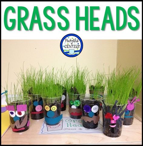 Grass Heads - how to plant your own using soil and grass seed. Grass Seed Crafts Kids, Grass Activities Preschool, Seeds Preschool, Kindergarten Writing Center, Grass Heads, Preschool Gardening, Writing Center Kindergarten, Seed Craft, Planting Grass