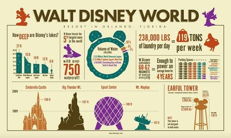 Disney Infographic, Orlando Resorts, Disney World Resorts, Beach Club, The Goal, Disney Parks, Walt Disney World, Design Project, Disney World