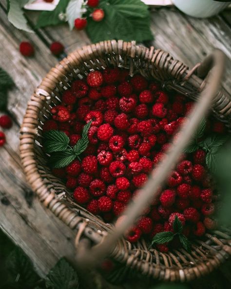 Berries Photography, Winter Fruit, Raspberry Recipes, Berry Pie, Fruit Wallpaper, Types Of Fruit, Food Displays, Red Food, Red Fruit