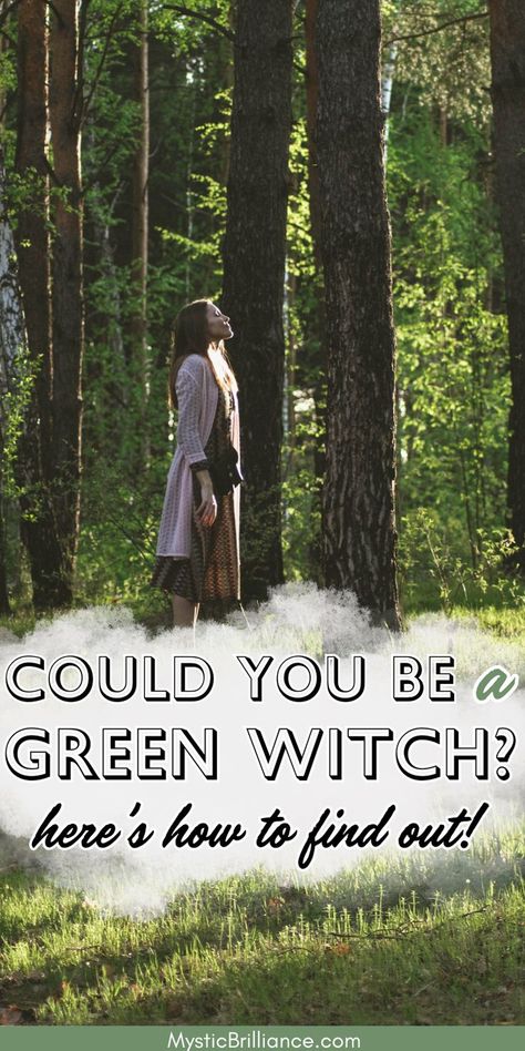 Picture of woman standing in forest with face turned up toward the sun with text overlay Could You Be a Green Witch? Here's How to Find Out! Green Witch Beginner, Green Witchery, Plants Crystals, Green Witch Aesthetic, Types Of Witchcraft, The Green Witch, Male Witch, Nature Witch, Witch Signs