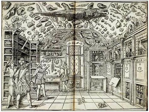 Structure Of The Universe, Woodcut Illustration, Cabinet Of Curiosity, Old Mansion, Old Mansions, Cabinet Of Curiosities, Sea Animals, Present Day, 17th Century