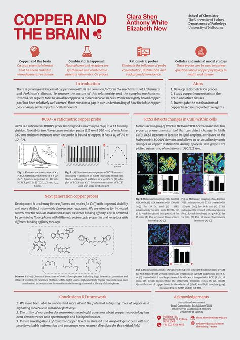 Scientific Posters on Behance Chemistry Research Poster, Science Poster Ideas, Scientific Poster Template Powerpoint, Office Signage Design, Informative Poster, Scientific Poster Design, Academic Poster, Info Poster, Scientific Design