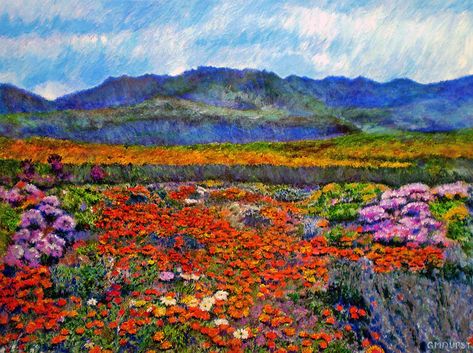 Namaqualand wild flowers ... one of the natural wonders of the world! "Spring in Namaqualand" ~ Painting by Michael Durst Impressionistic Paintings, South Africa Travel, Nature Artwork, Flower Landscape, Impressionist Paintings, Beautiful Places Nature, Cape Town, Travel Art, Impressionism