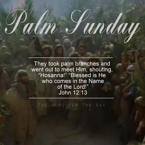 #palm Sunday, #hosanna #the word for the day Palm Sunday Images Quotes, Quotes For Palm Sunday, Palm Day, Palm Sunday Devotion, John 12 13, John 12:13 Palm Sunday, Palm Sunday Quotes, Lent Decorations, Sunday Bible Verse